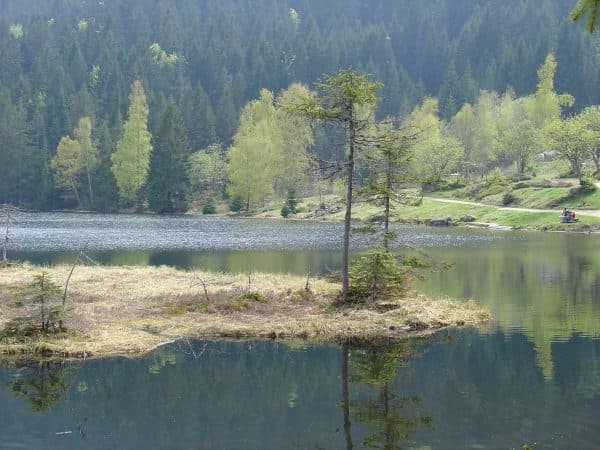 9 Bodenmais - Arbersee