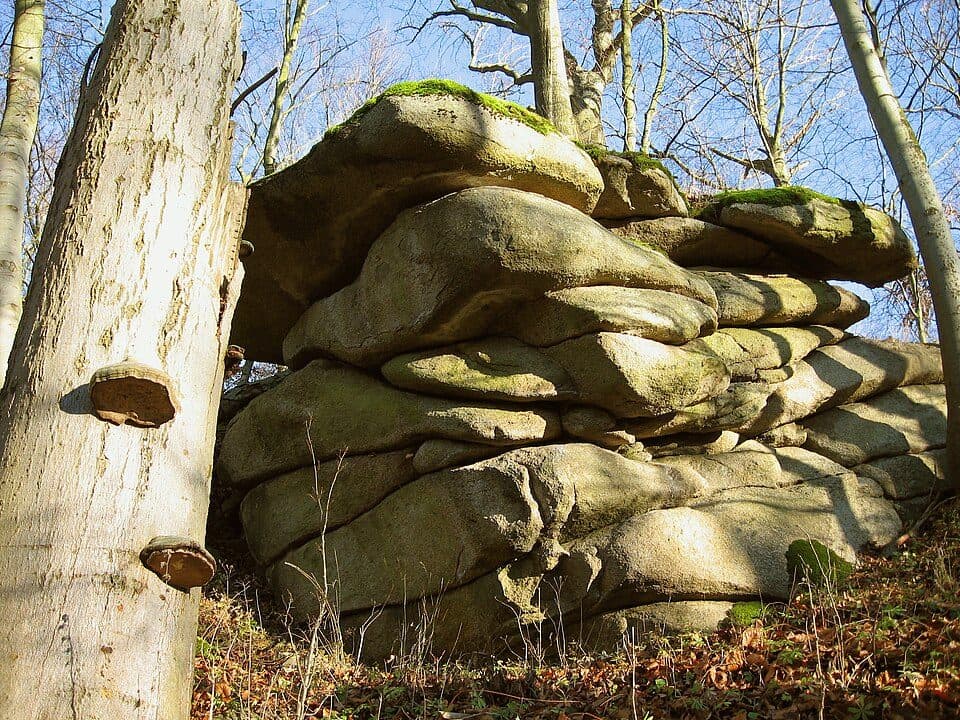 Schloßberg von Sattelpeilnstein