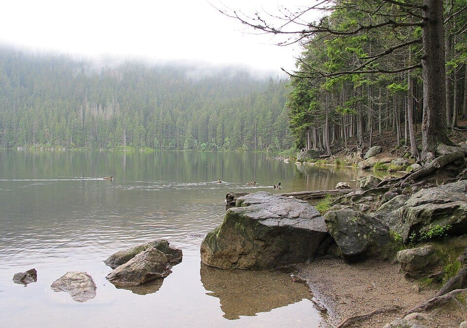 Nationales Naturreservat Schwarzer See und Teufelssee — Foto 2