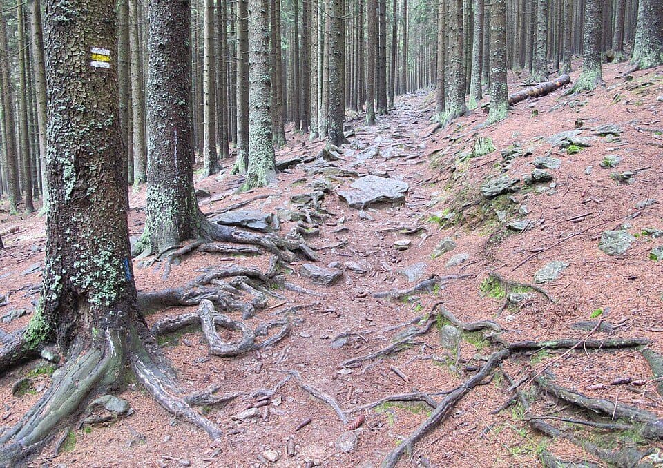 Naturdenkmal Künisches Gebirge