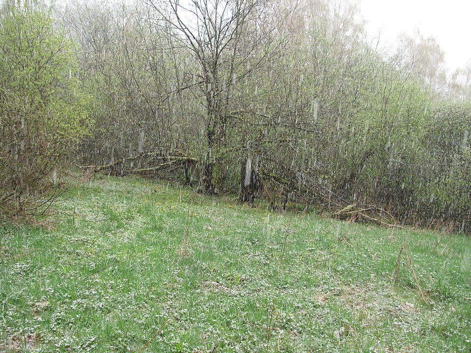 [Ž] Děšenice - pod Prenetem