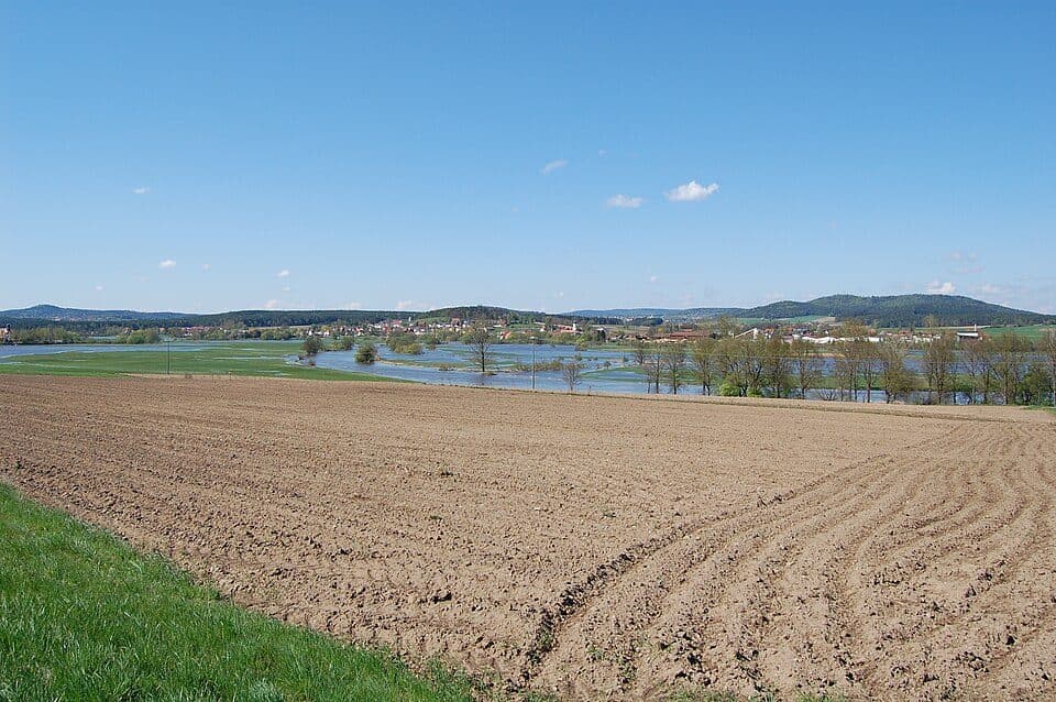 Regentalaue zwischen Cham und Pösing