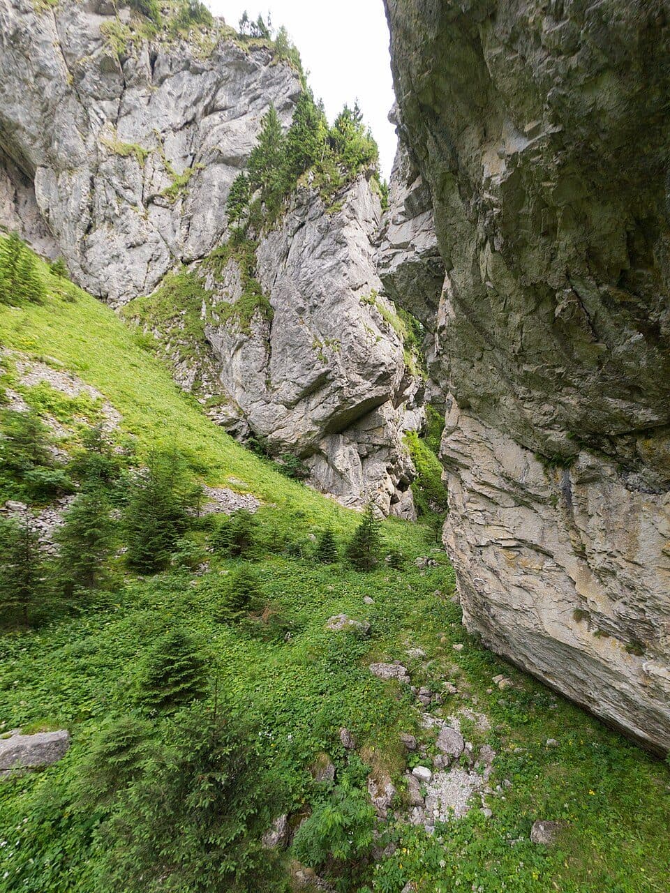 Dolina Kościeliska - Jaskinia Raptawicka