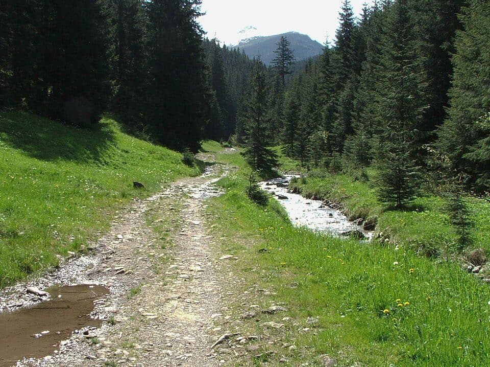 Lejówki