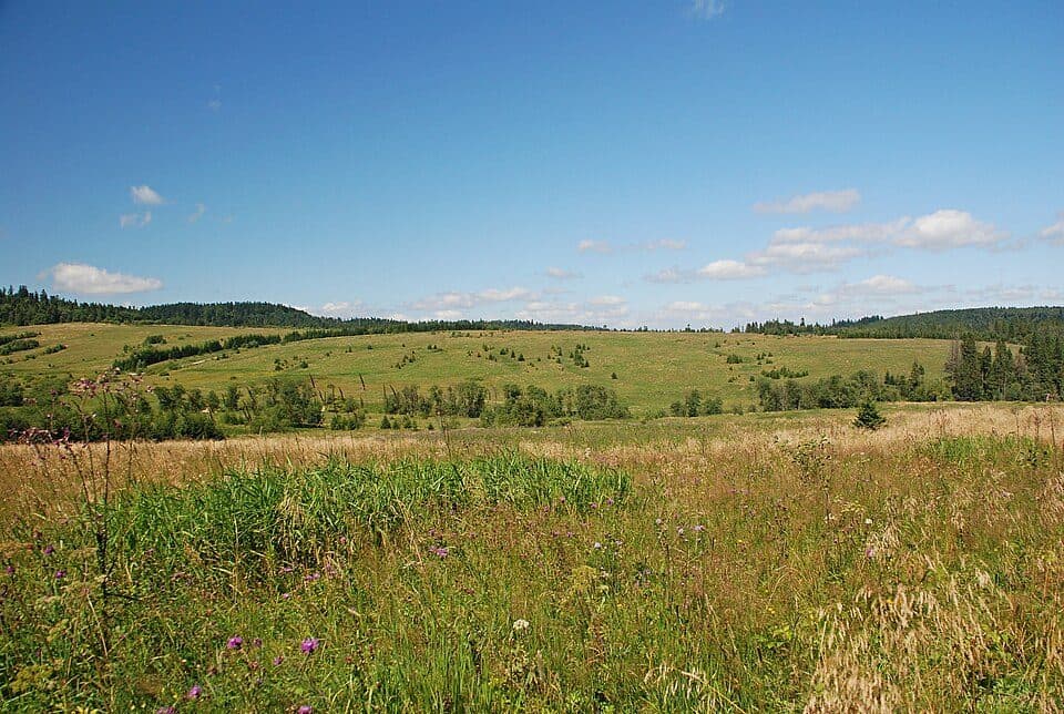 Bukowiec (powiat bieszczadzki)