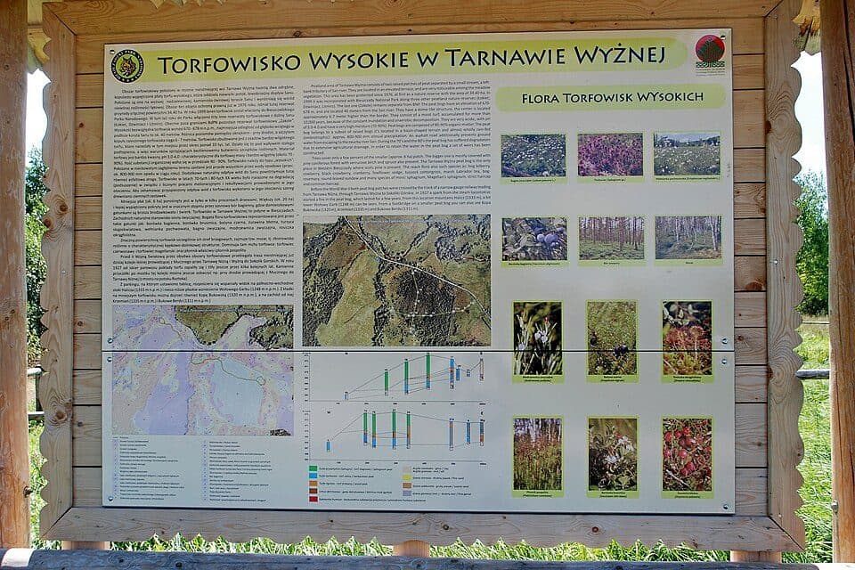 Ścieżka przyrodnicza "Torfowisko Wysokie Tarnawa Niżna"