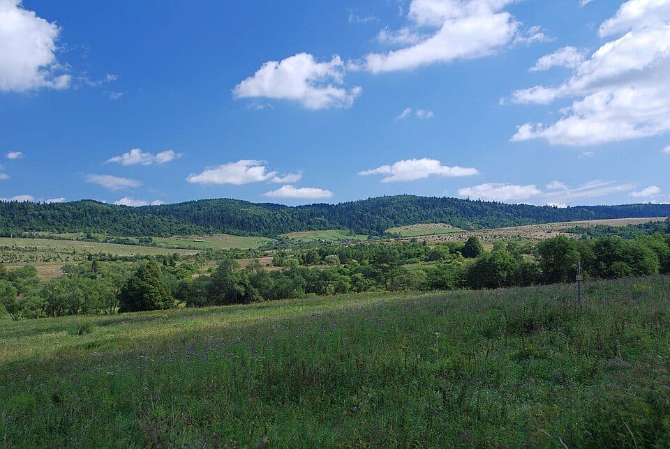 Tarnawa Wyżna