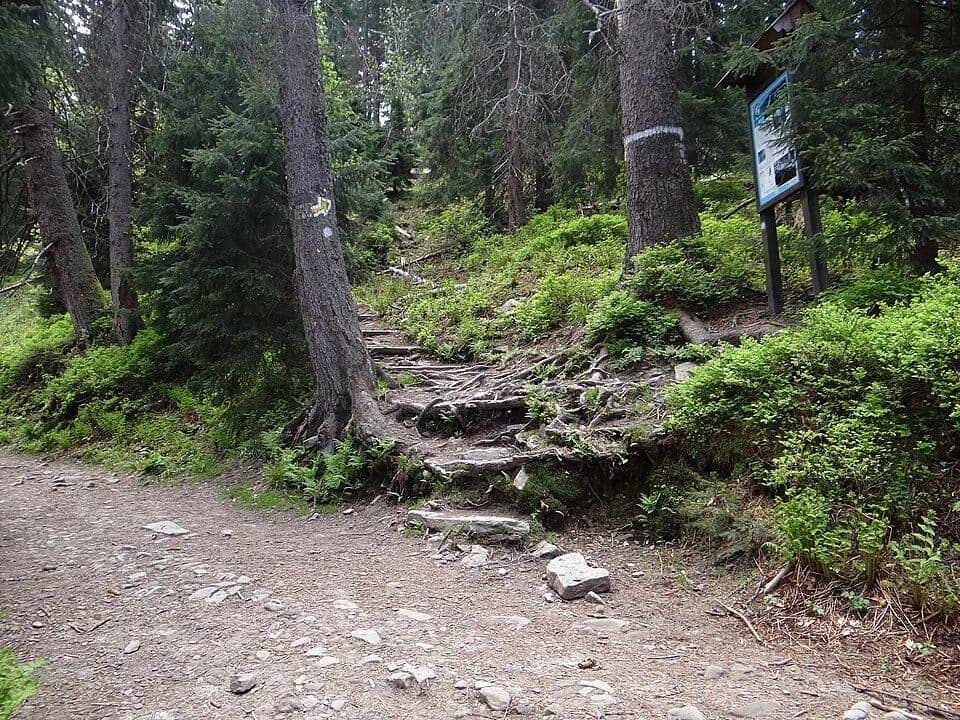 Skręt Ratowników