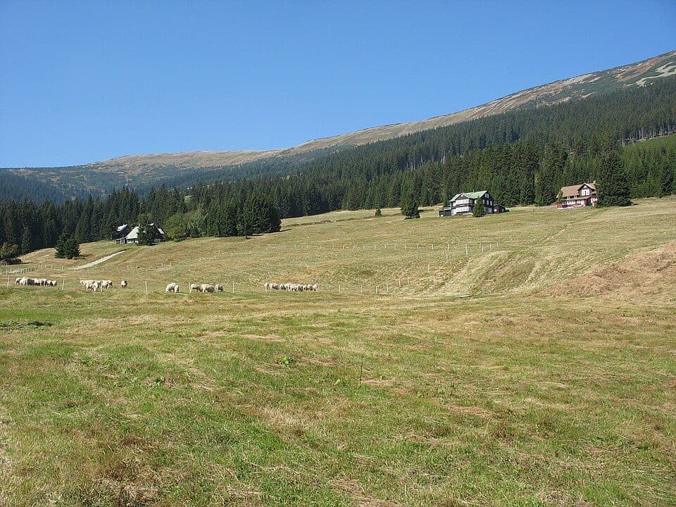 Pec pod Sněžkou
