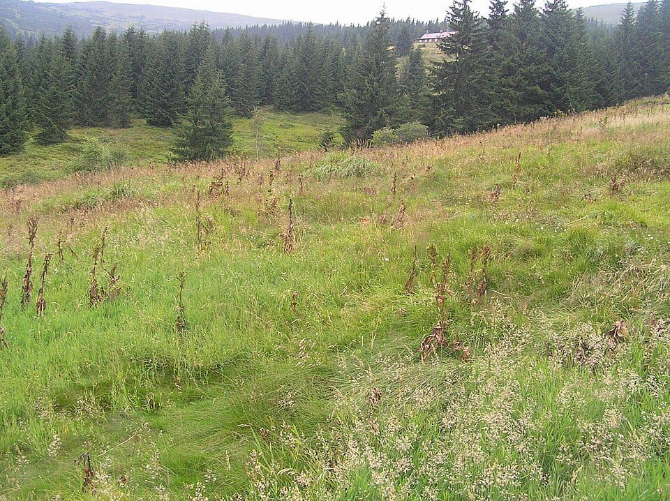 [M] Pec pod Sněžkou - Obří sedlo