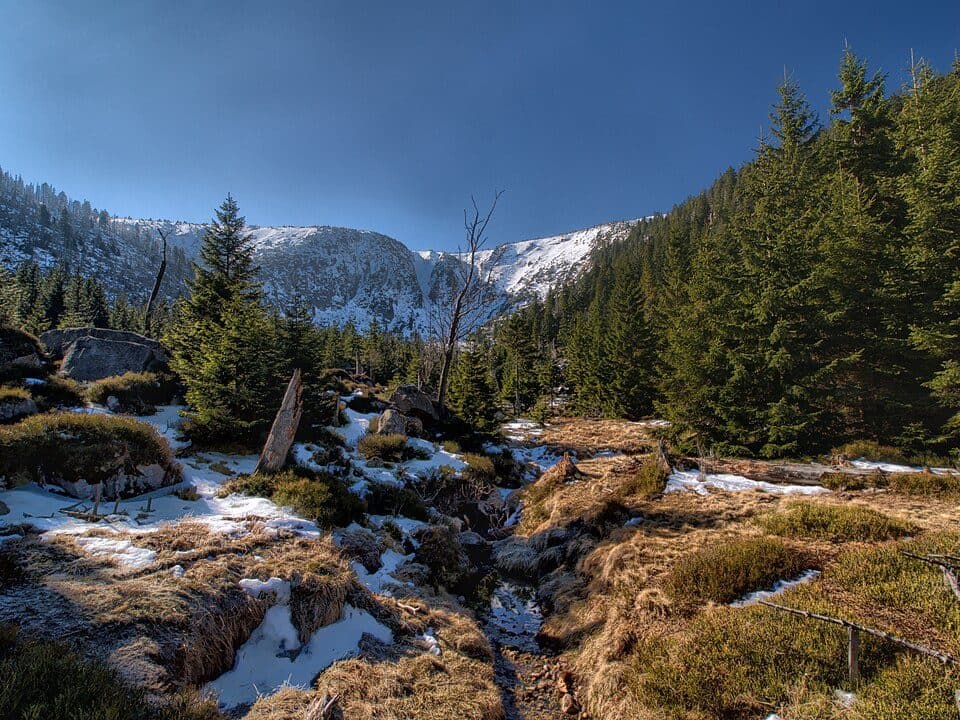 [M] Medvědí bouda - Špindlerova bouda