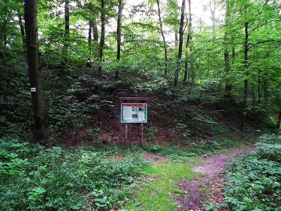 Szlak dojściowy