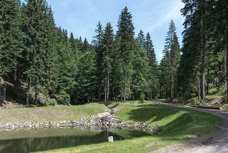 Nowa Biela