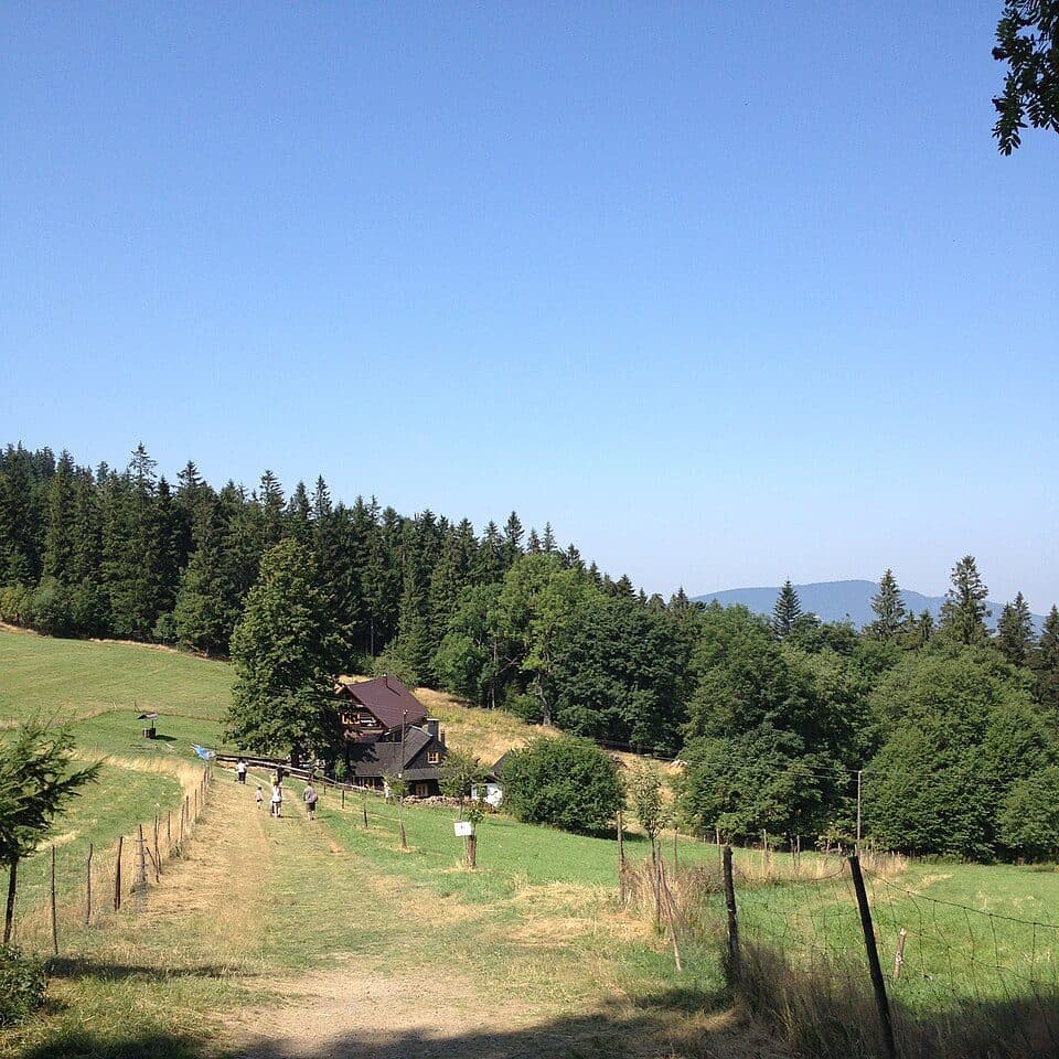 U Zbuja