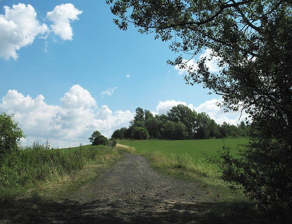 Hončova hůrka