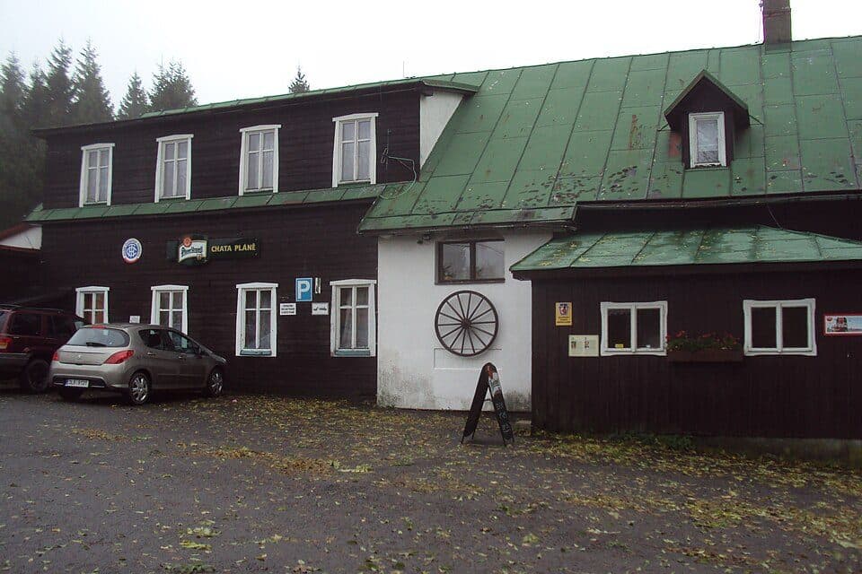 Projekt Nový prales