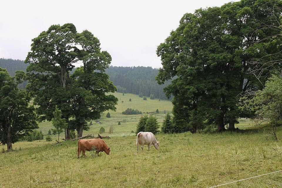 Bývalé Zhůří — Foto 3