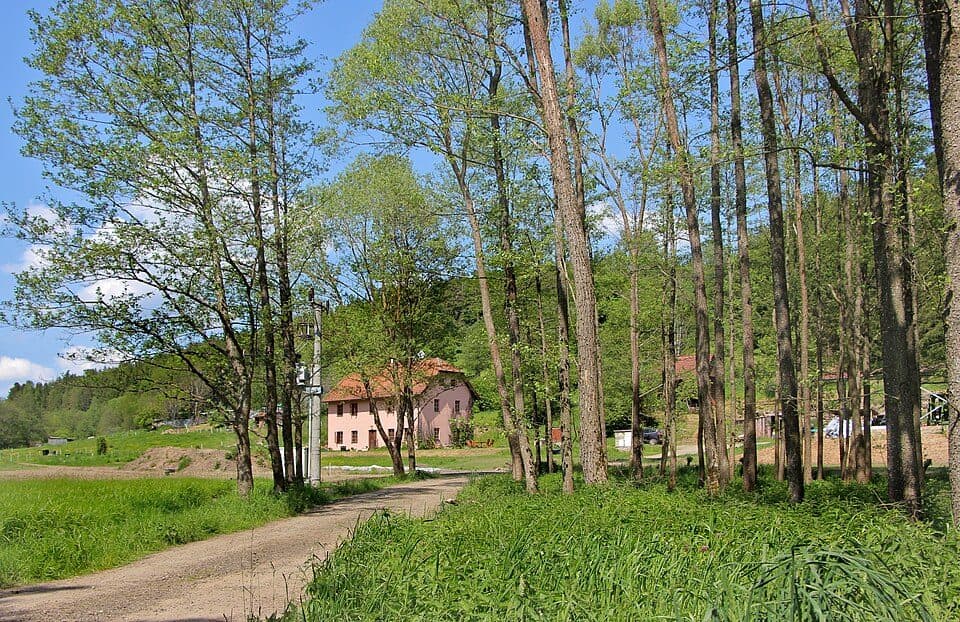 Stěžerov