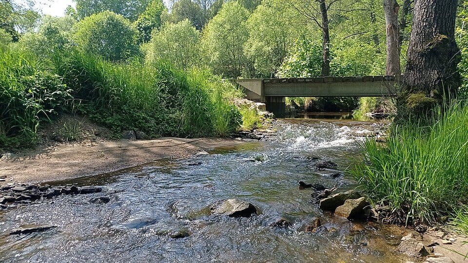 [Z] Hořice na Šumavě - Frymburk