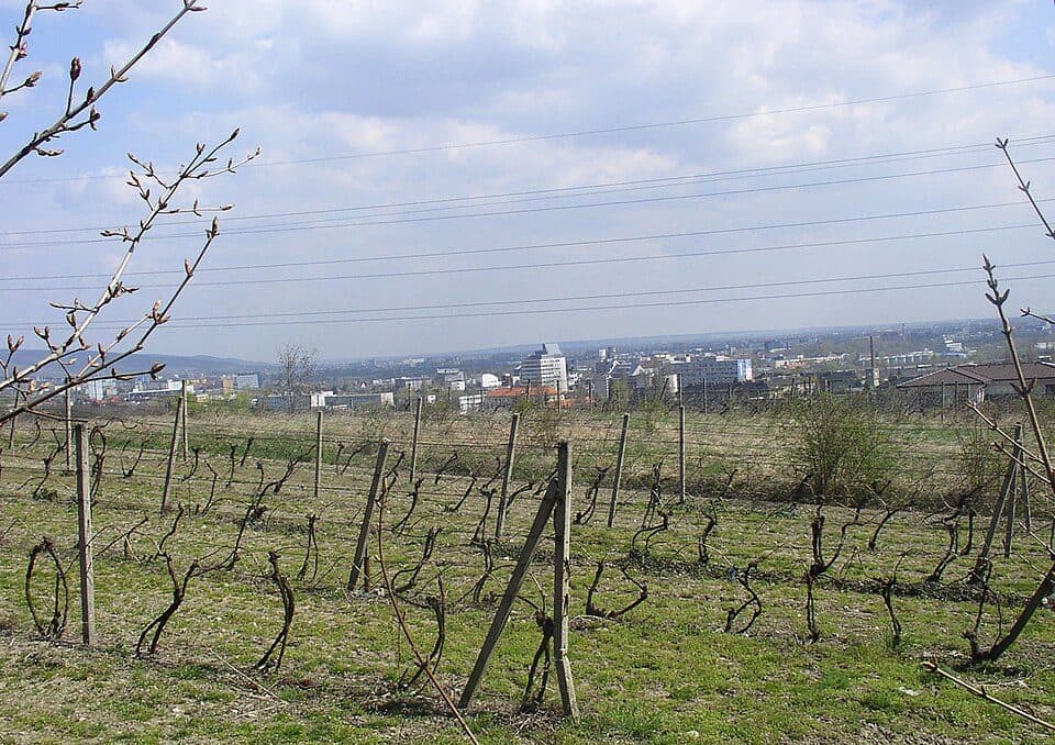 Briežky