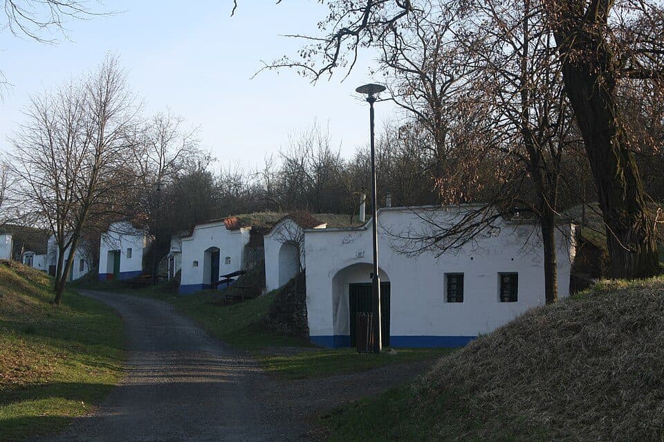 Plže