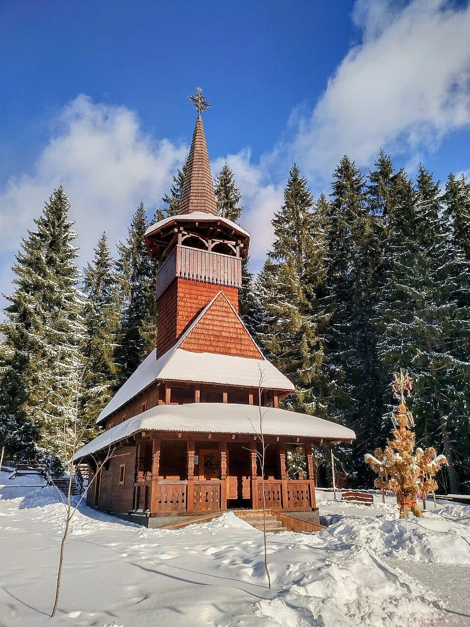 Квітка полонини