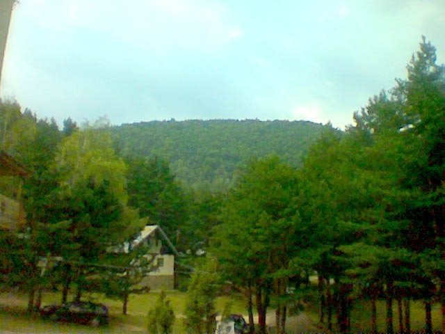 Gălăciuc