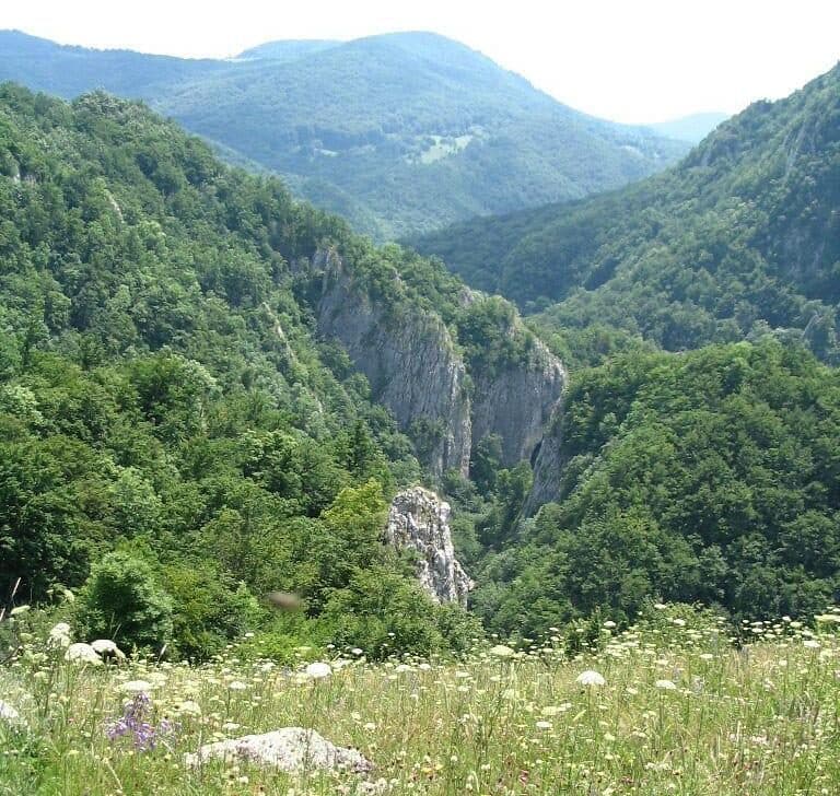 Cheile Vârghișului
