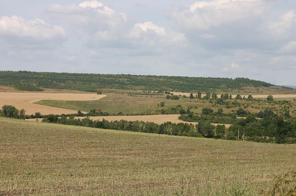 Židovice