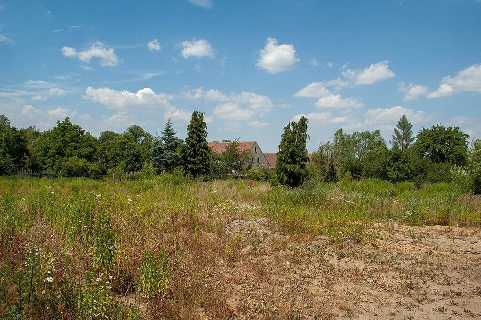 Białopole (województwo dolnośląskie)