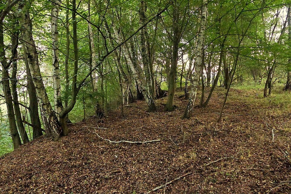 Chlum — Foto 3