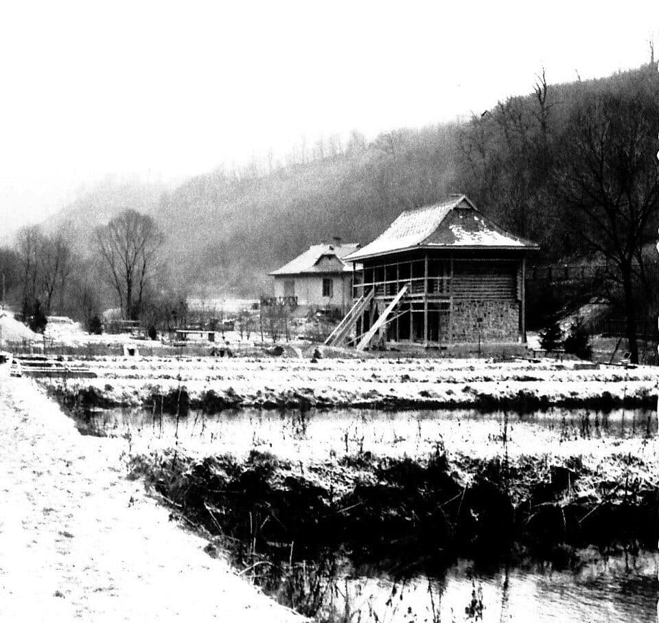 S● (Szövetség-forrás)