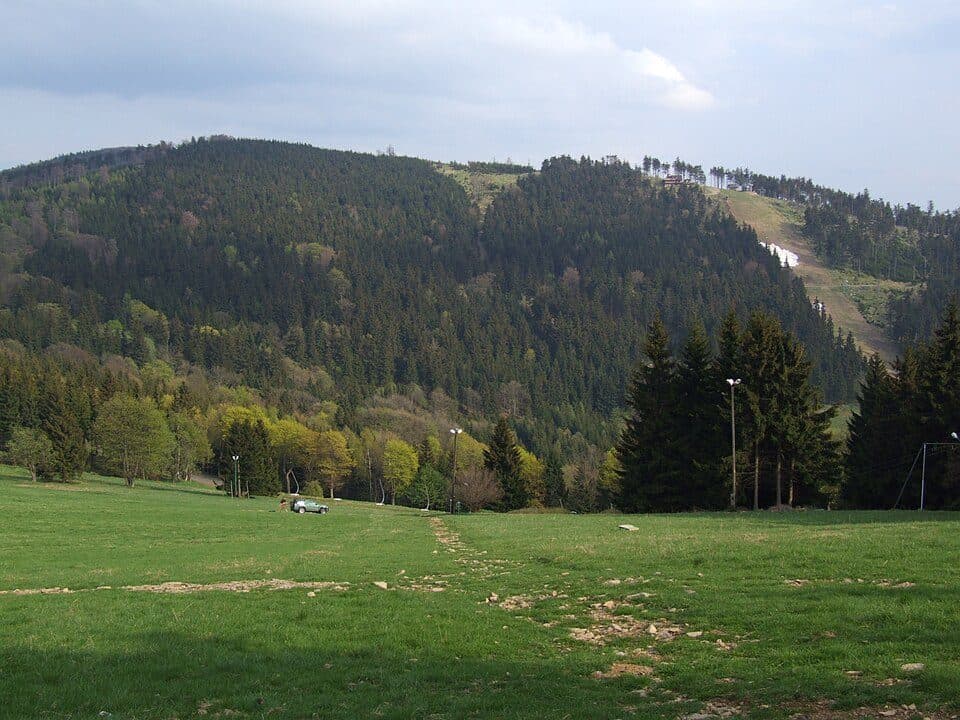 Rymarz (Góry Sowie)