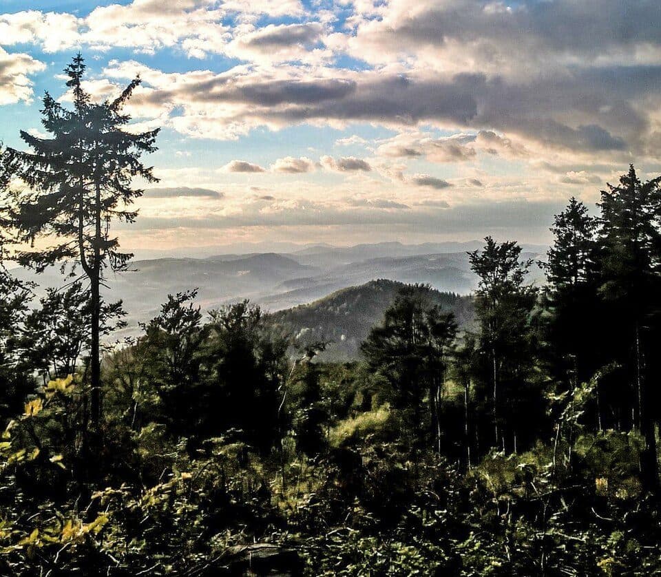 Malinowa (góra)