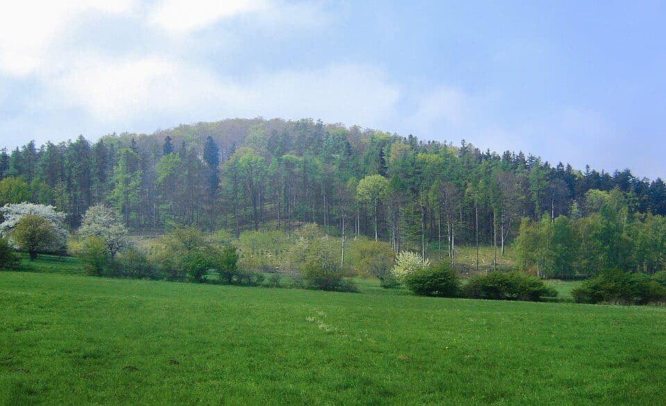 Wilczyna (góra)