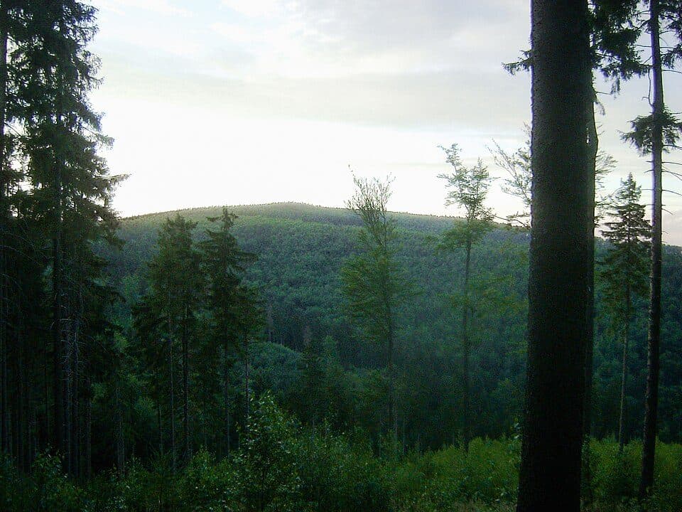 Szeroka (Góry Sowie)