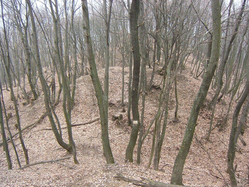 Böre-vár (Ságvár) — zdjęcie 2