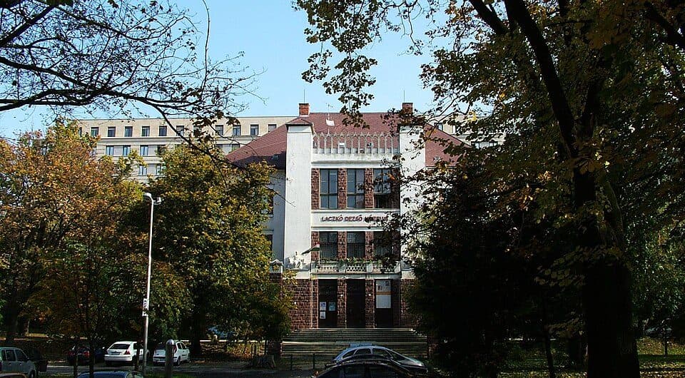 Muzeum Laczkó Dezső — zdjęcie 1
