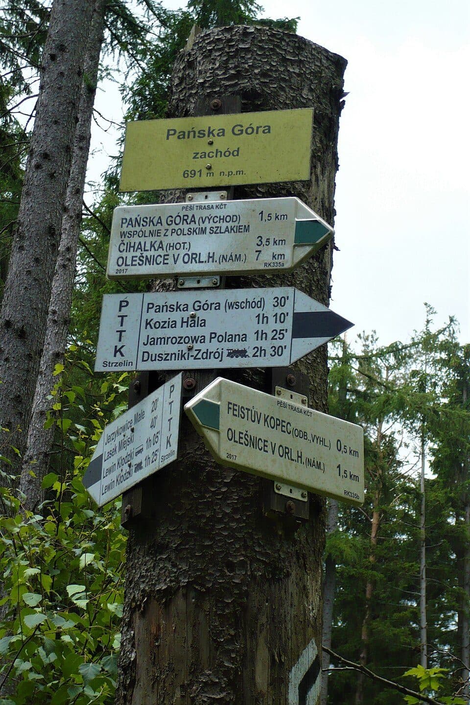 Pańska Góra (Góry Orlickie) — zdjęcie 2