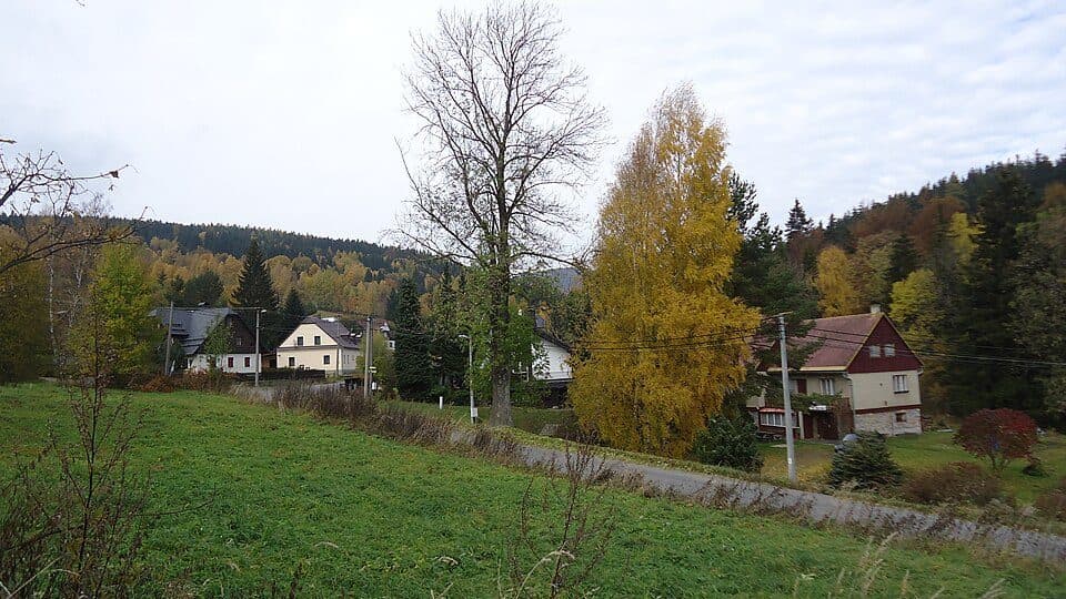 [Ž] Karlov pod Pradědem - U Škaredé jedle