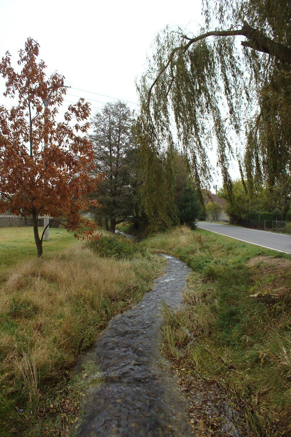 Pietrowice - Mokre-Kolonia