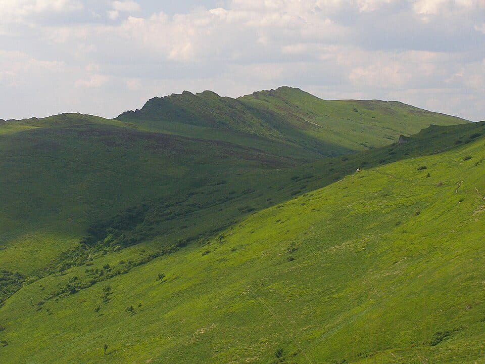 Przełęcz pod Tarnicą - Tarnica