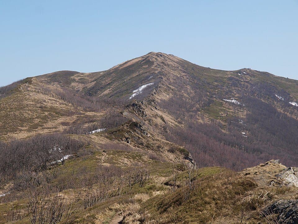 Przełęcz pod Tarnicą - Tarnica
