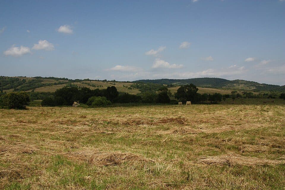 Dźwiniacz Górny