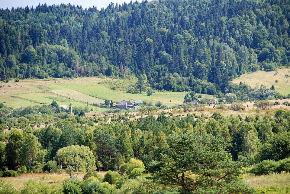 Tarnawa Wyżna — zdjęcie 3