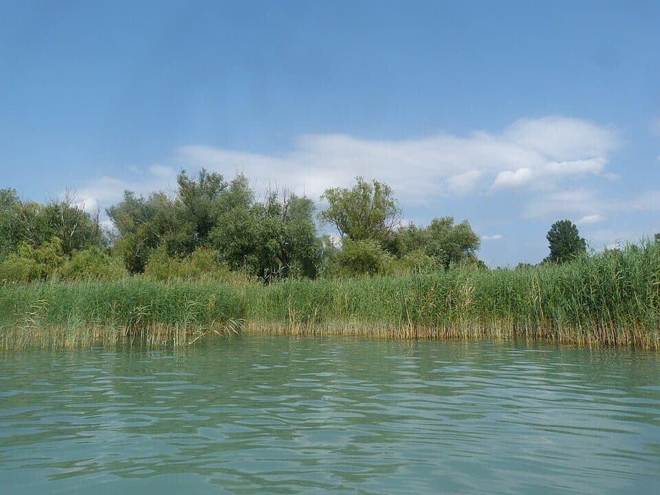 Balaton — zdjęcie 2