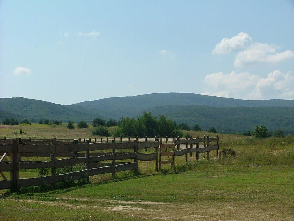 Las Bakoński