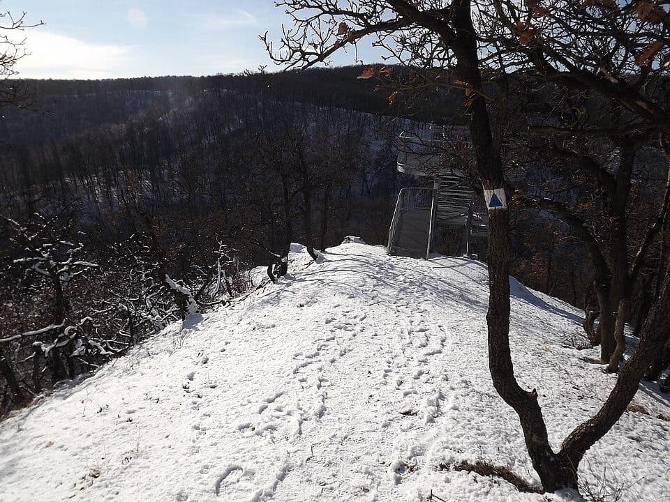 Károlyi-kilátó