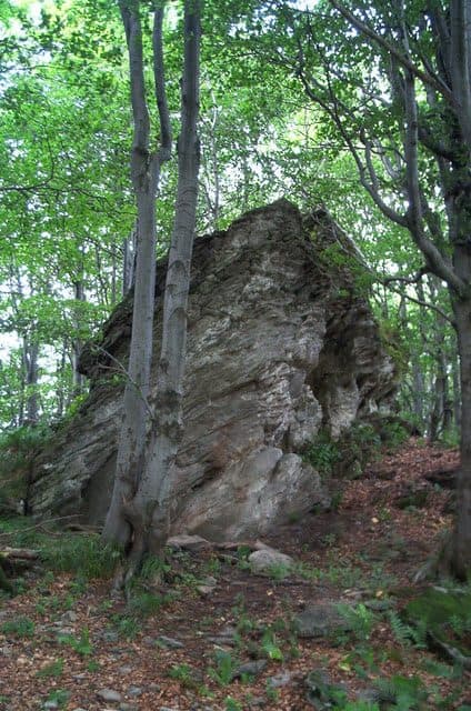 Opołonek