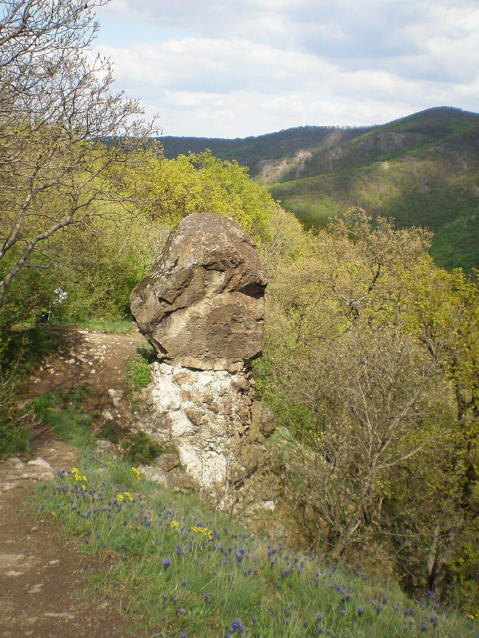 Z (Pilismarót, községháza aut. m. – Szakó-nyereg – Dömös, há.)